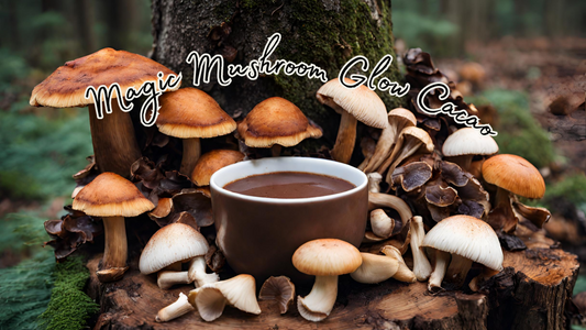 The Magic Behind Our Super 7 Mushroom Blend